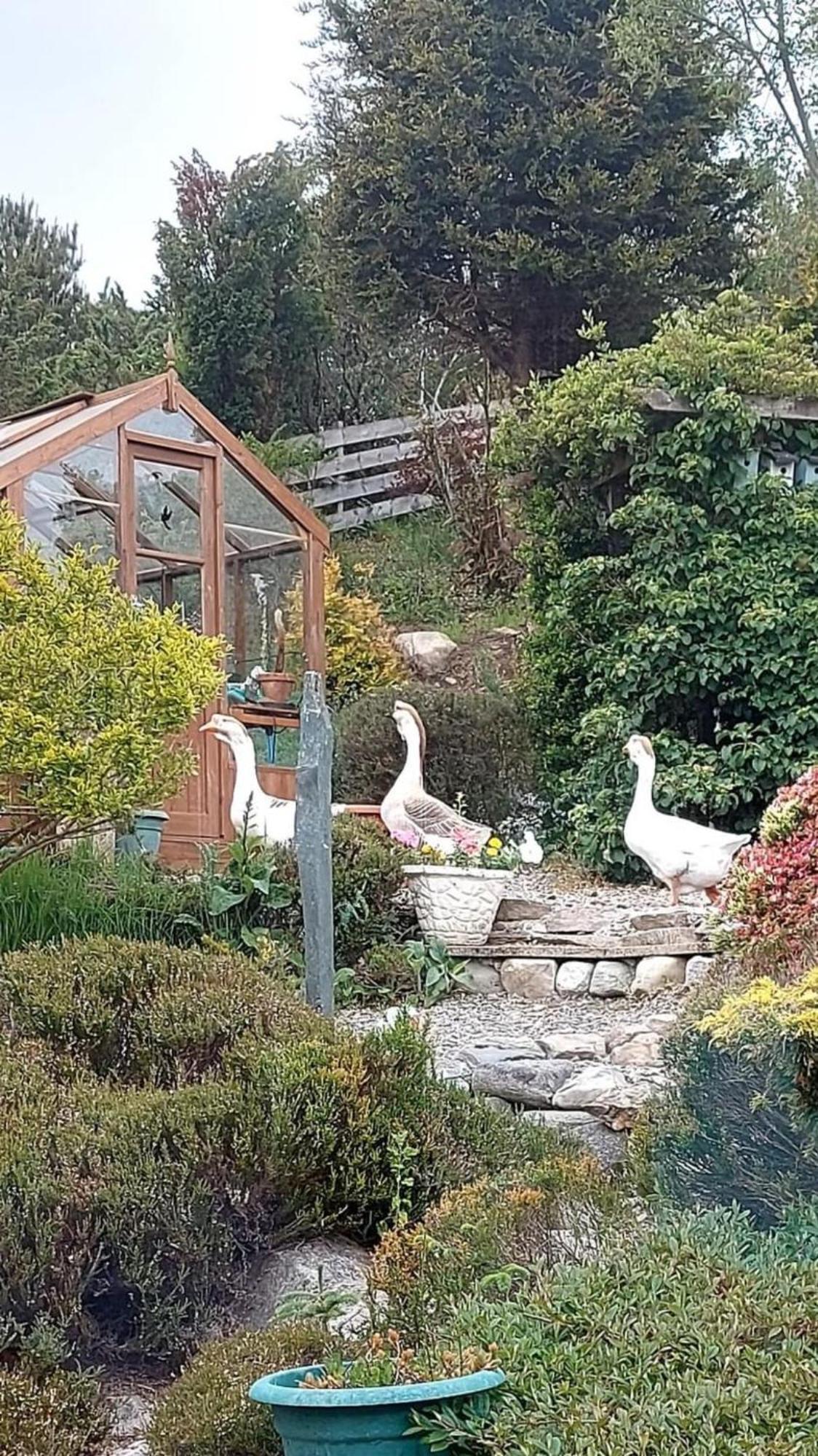 The Guest Suite At Daviot ,Inverness Dış mekan fotoğraf
